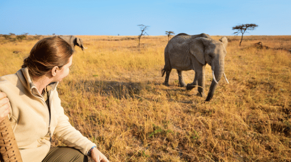 Paterson Safari & Addo